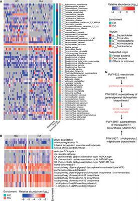 Sustained Drug Treatment Alters the Gut Microbiota in Rheumatoid Arthritis